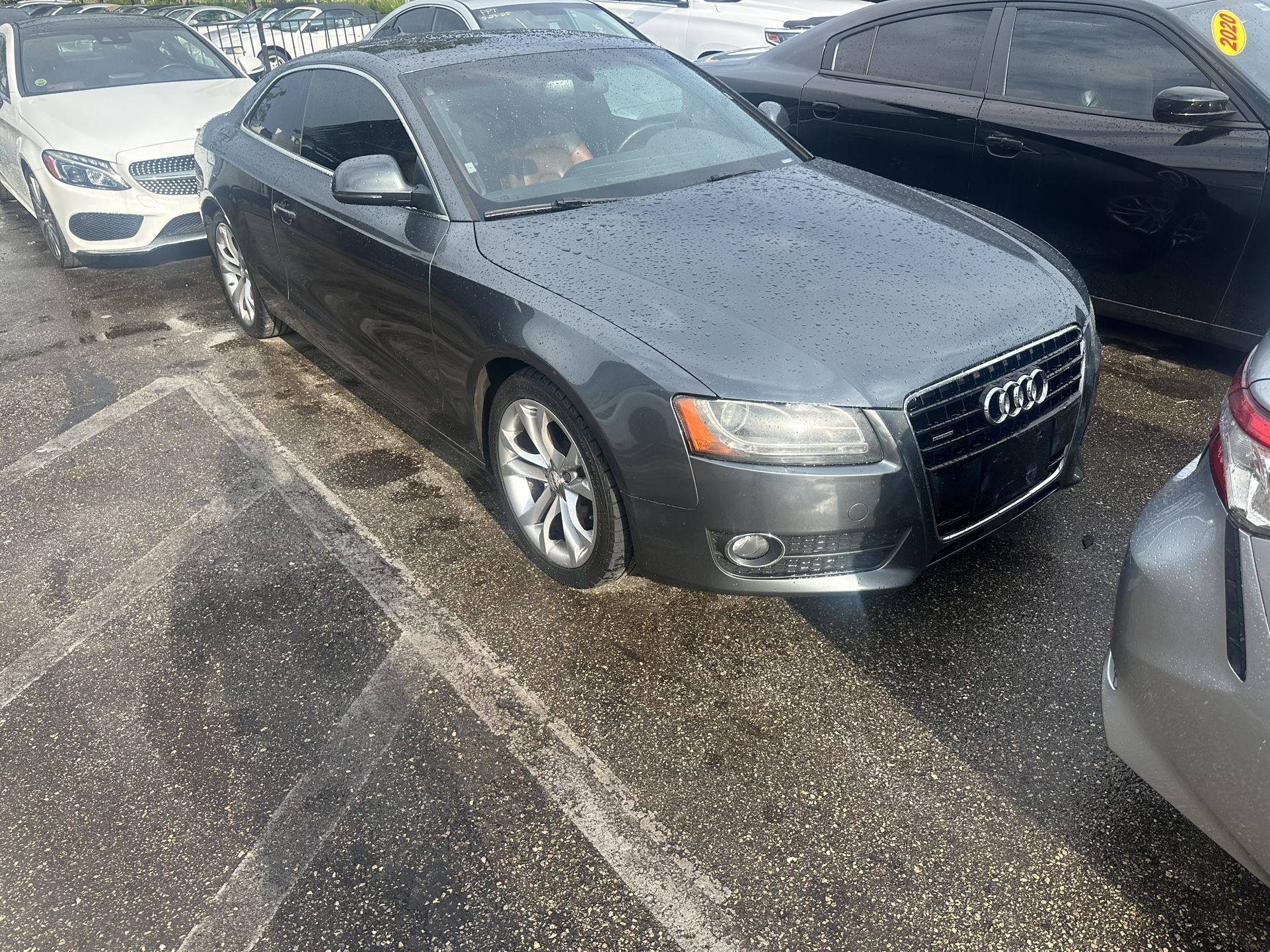 2009 Audi S5