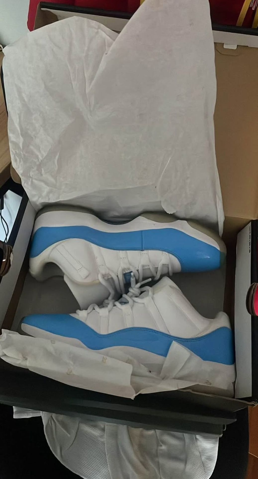 Jordan 11 UNC lows