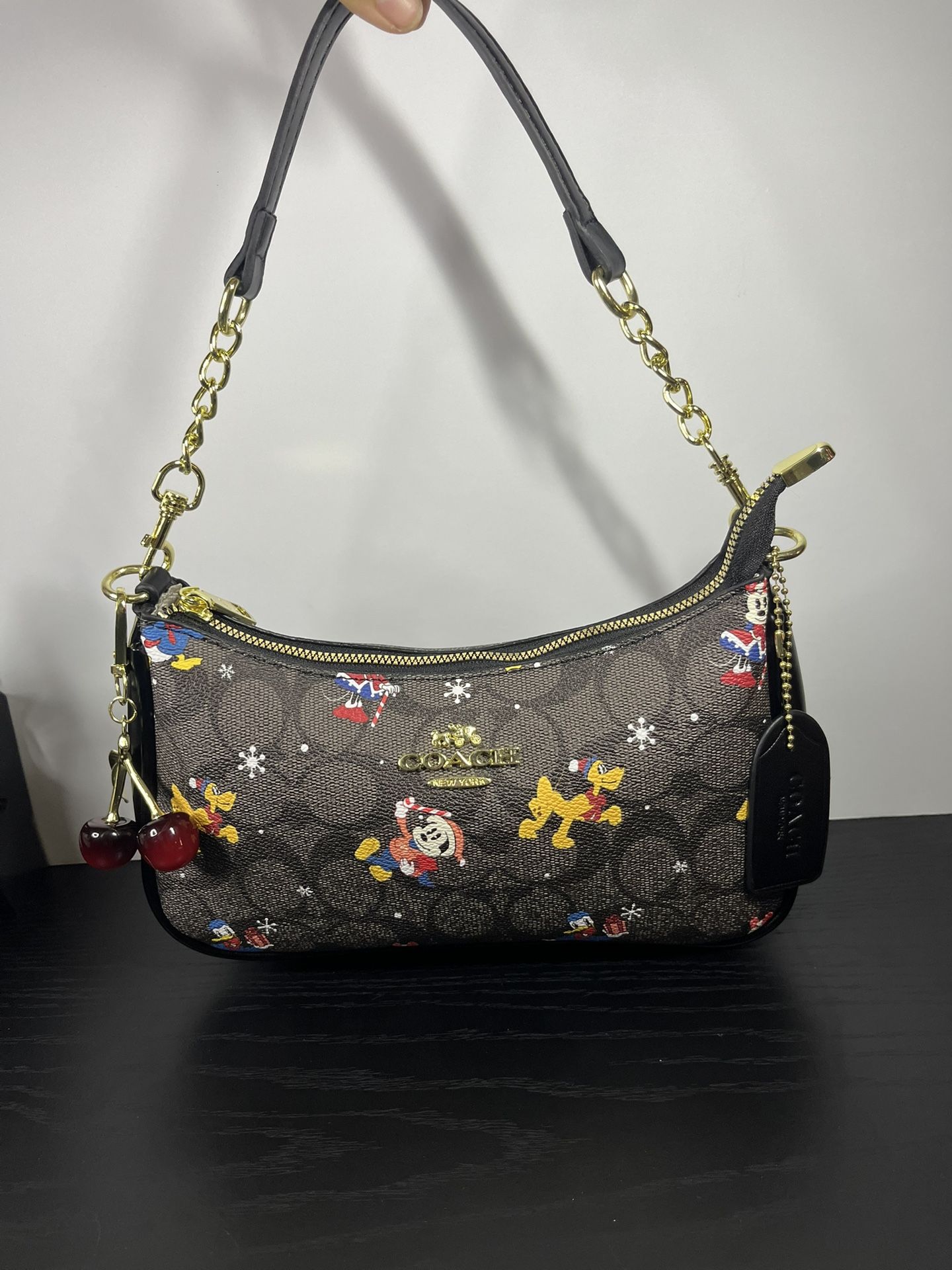 coach x disney bag