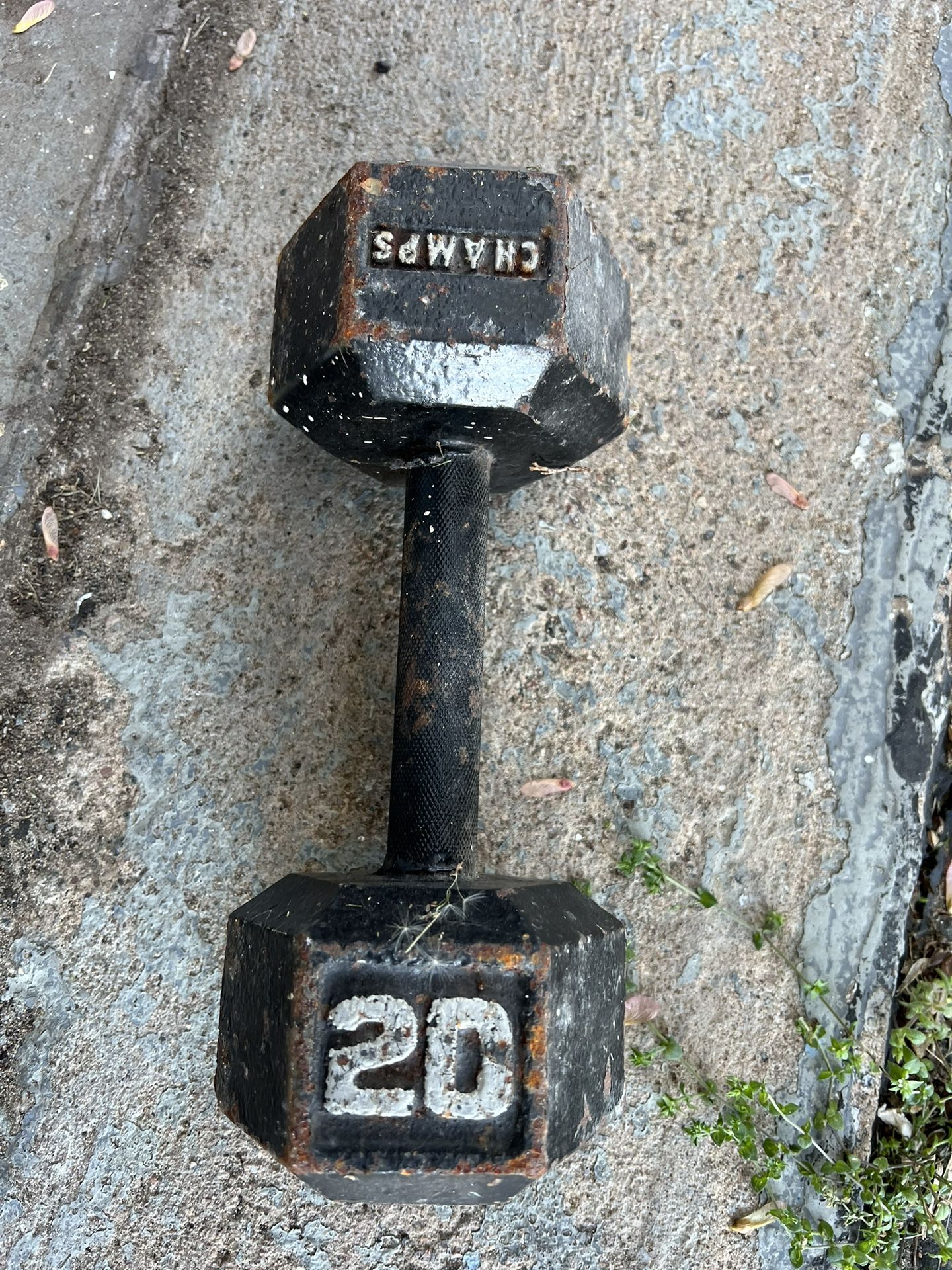 20lb Dumbbell