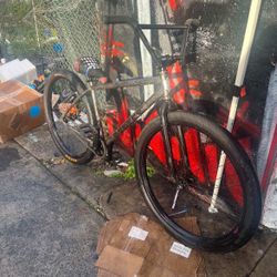 El Chapo Street Co 29er (NOT FREE)