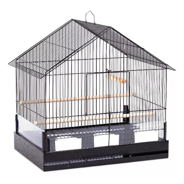 Bird Cage - House-Style