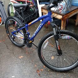 Swiminn Ranger  24" Tires