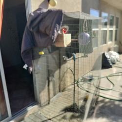 Cage For Outdoors