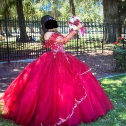 Quinceañera Dress (W/ Some Of Quince Accessories)