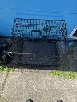 Pet Supplies