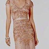 Beautiful Like New Adrianna Papell Blush Beaded Evening Gown 