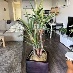 Yucca Faux plant - Yucca fake plant