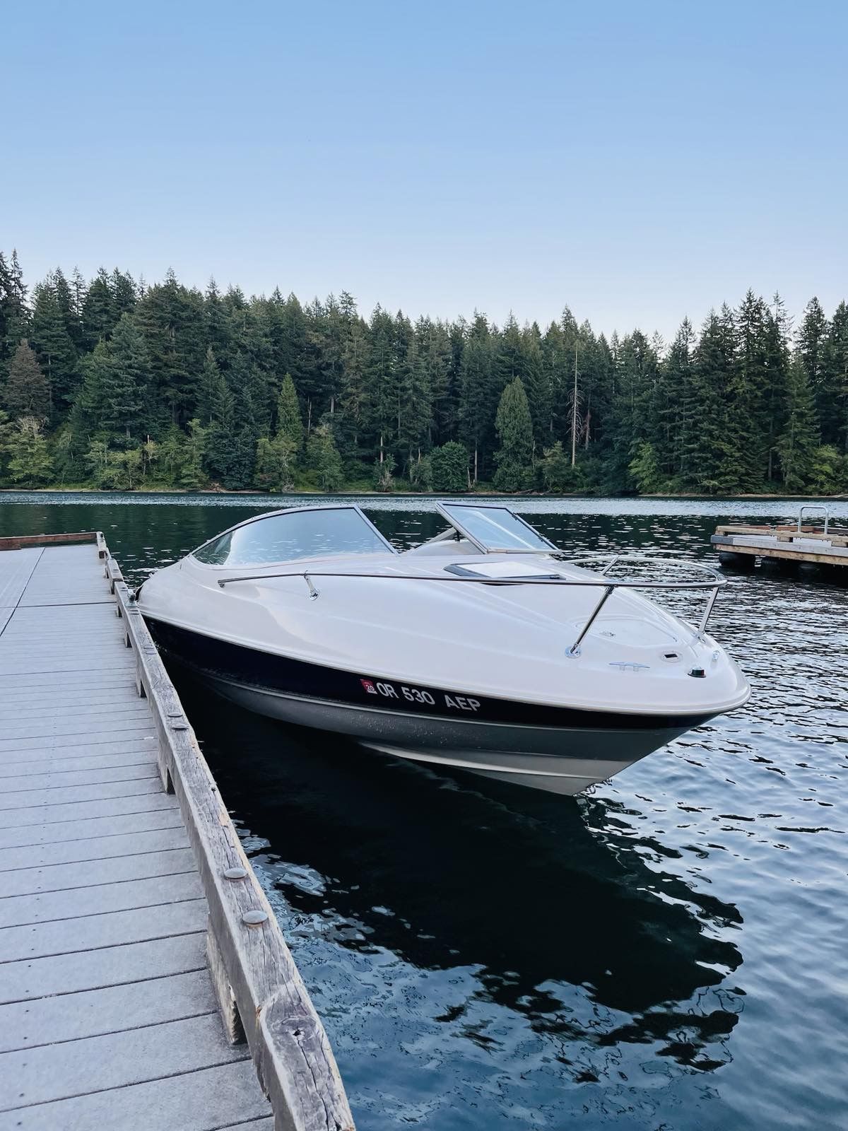 1999 Bayliner Capri 2052 20FT.