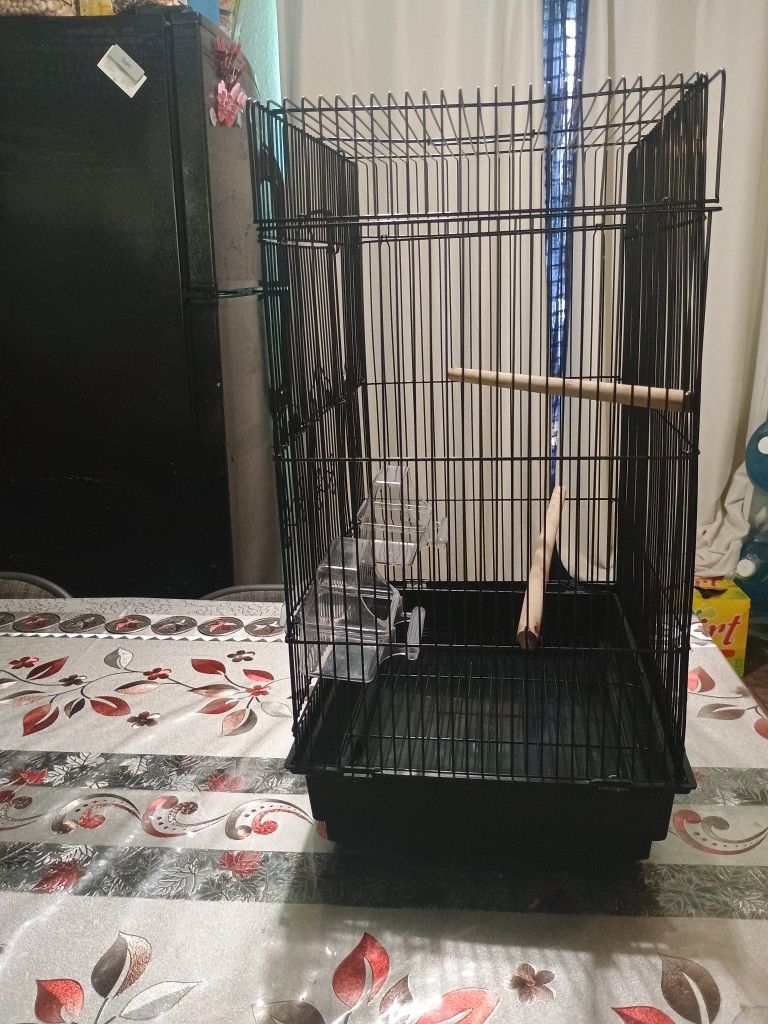 Bird Cage