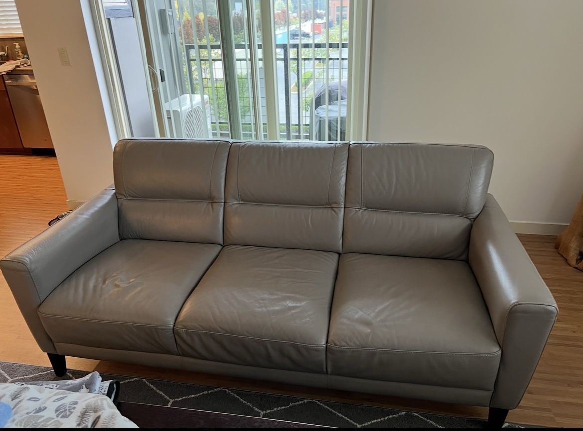 Gray Leather Couch