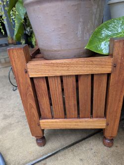 Moving Plant Sale $5.00 To $50.00 All Kinds Of Deals