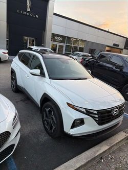 2023 Hyundai Tucson Hybrid