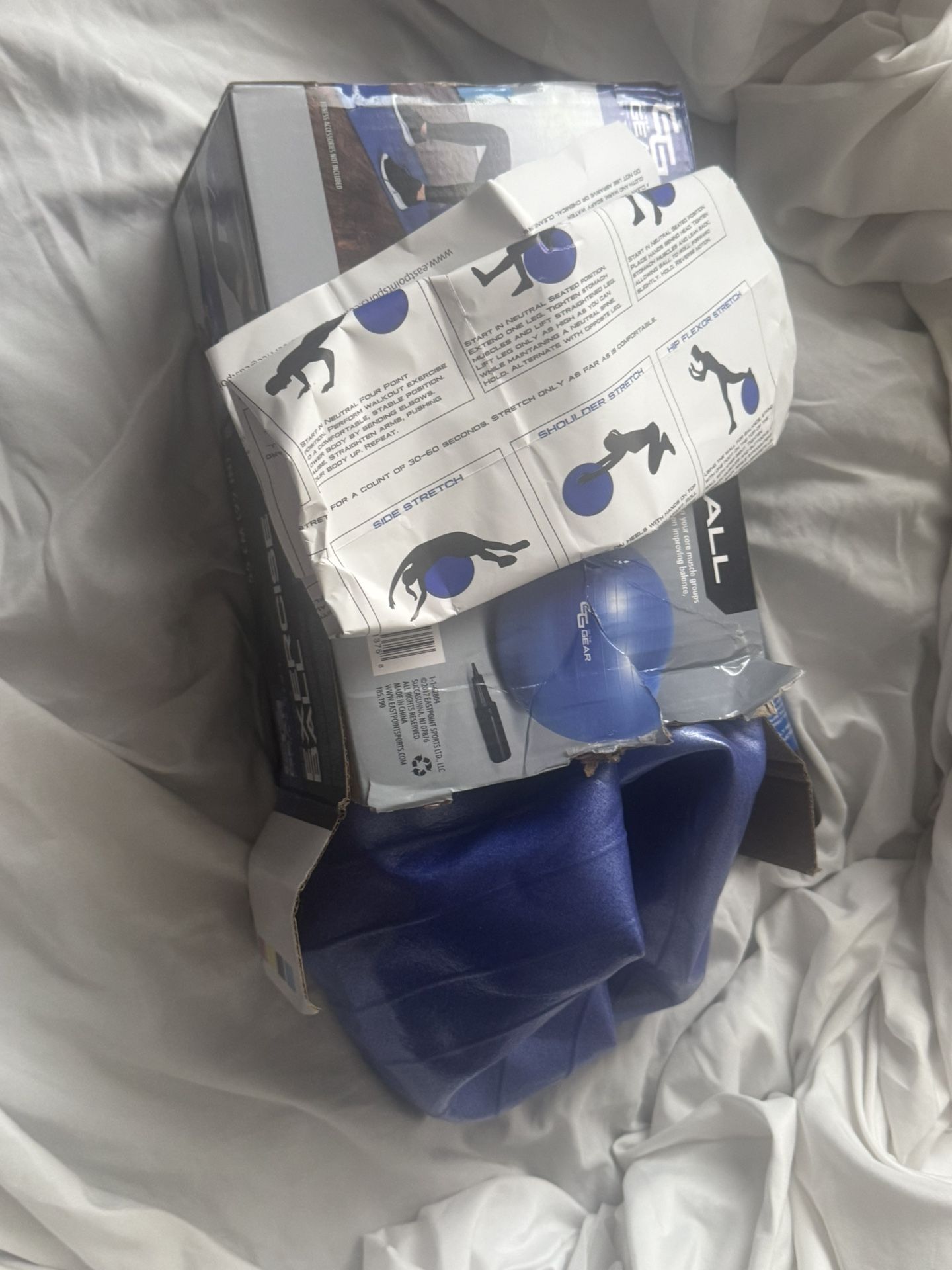 Exercise Ball Blue