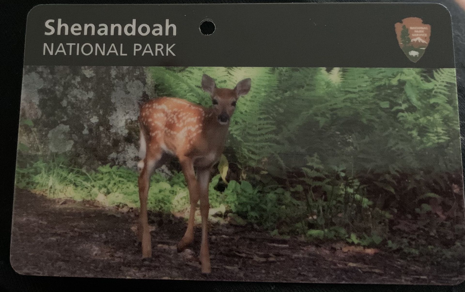 Shenandoah National Park Annual Pass valid till Aug 2021