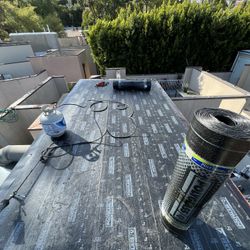 Roof !!!!