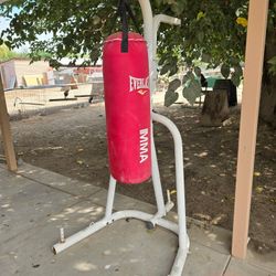 EVERLAST BAG AND STAND 