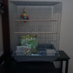 Bird Starter Kit (parakeets)