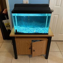 Fish Tank 20 Gallon 