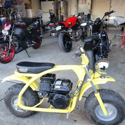 Coleman Mini Bike 