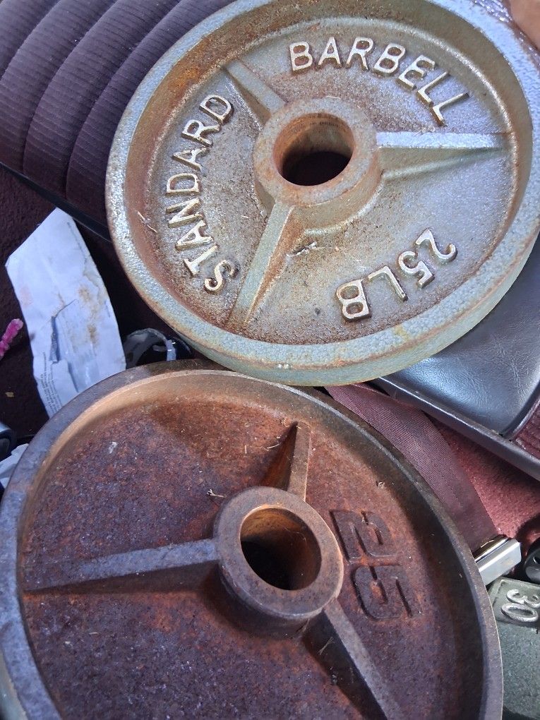Olympic Weights 100 For $50 Today Only 