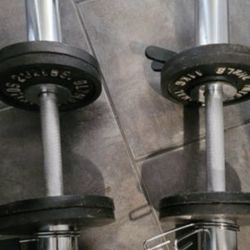 12lbs Dumbells WEIGHTS 