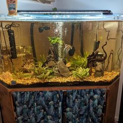 100g Aquarium