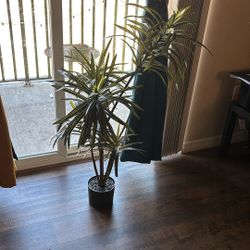 Faux Artificial Plant