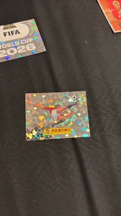 Panini 00