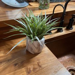 Fake Plant In Marble Pot