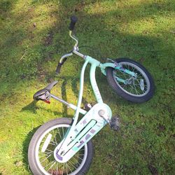 14 inch Electra nike