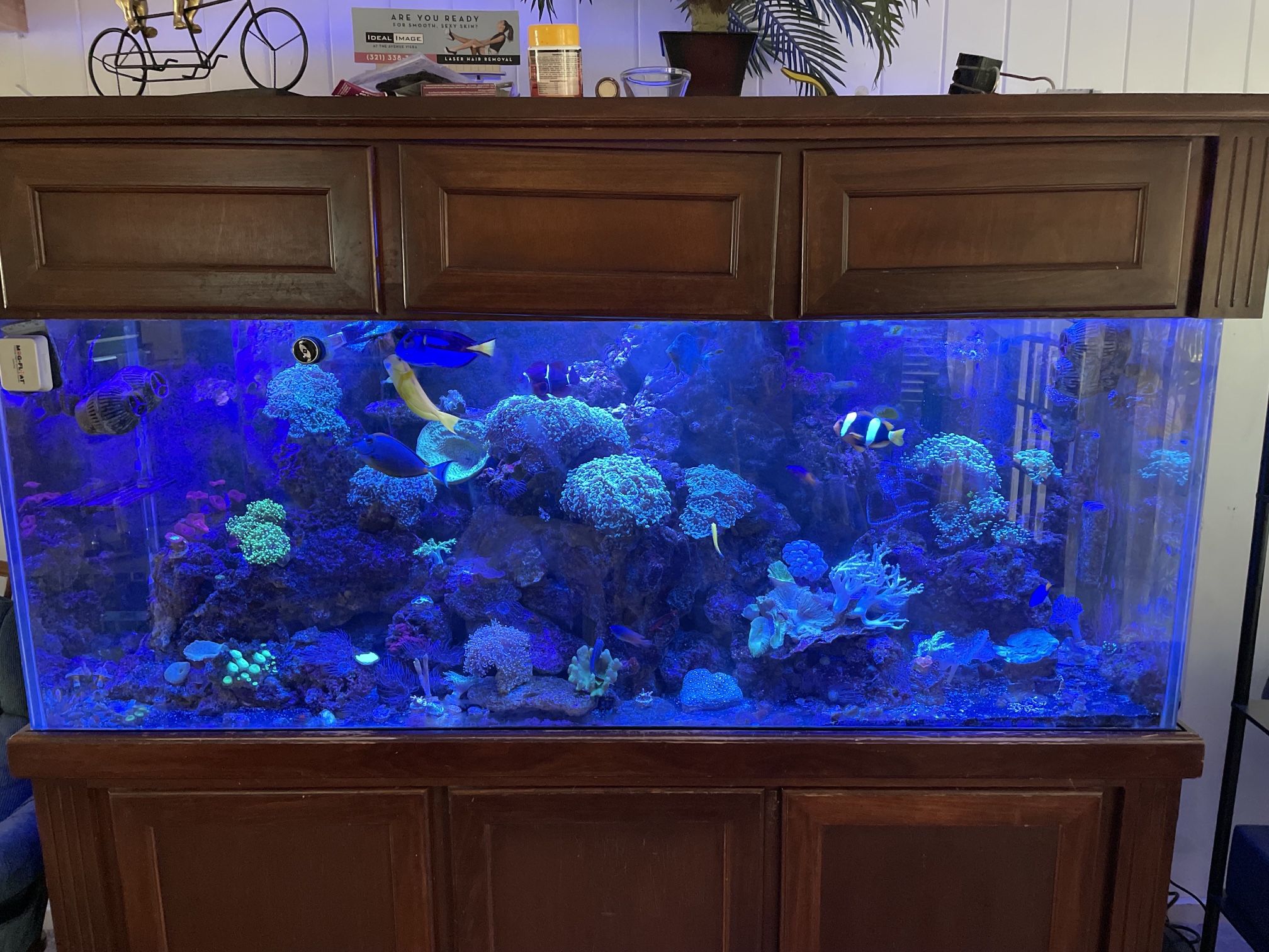 Aqua Illumination Reef Tank Lights Hydro 52 Aqua Illumination reef tank lights Hydro 52