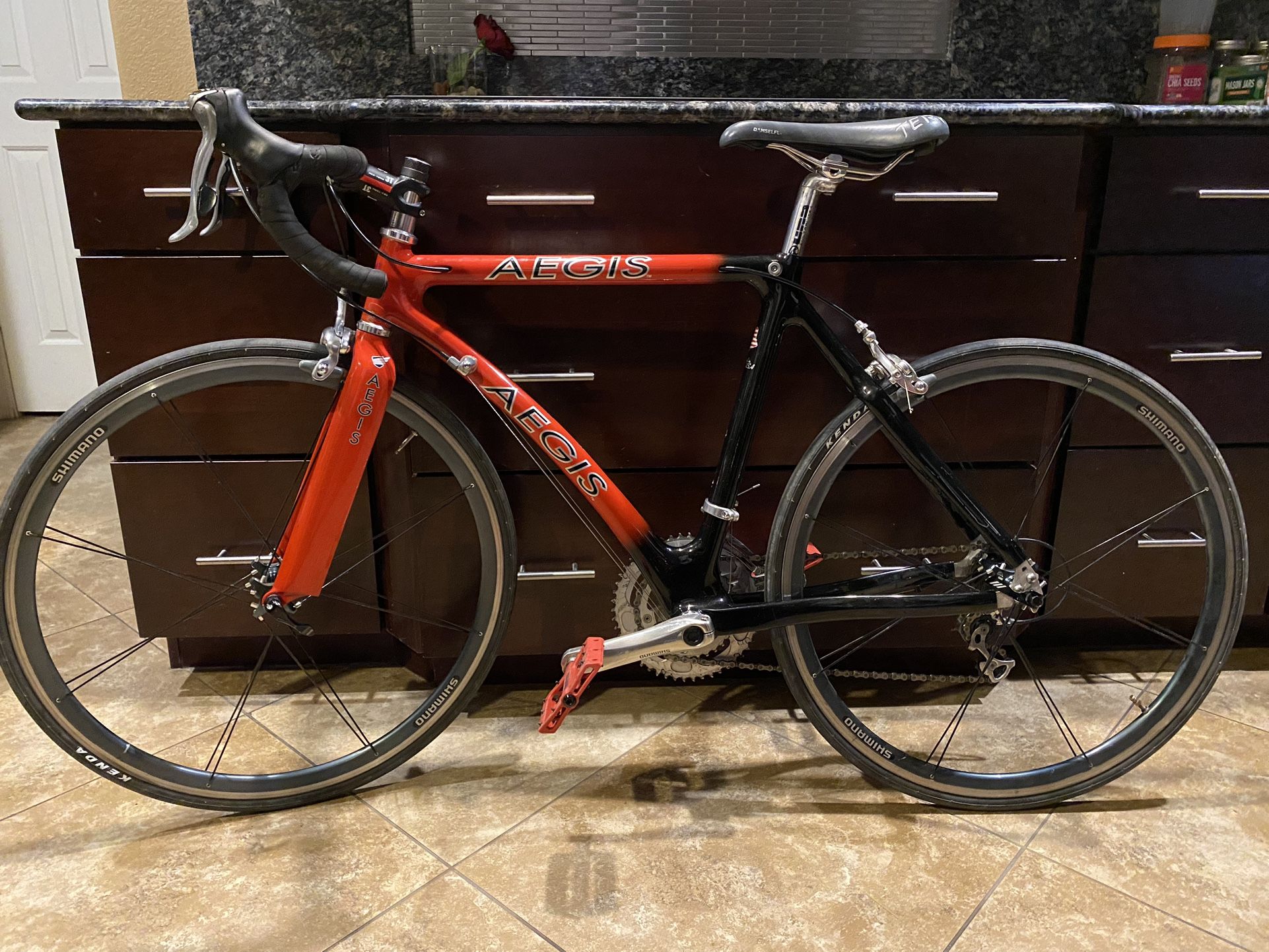 AEGIS CARBON FIBER BICYCLE