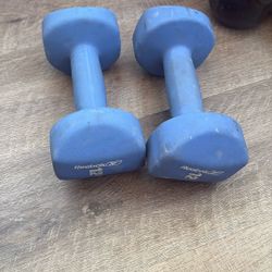 12 Pound Dumbbells