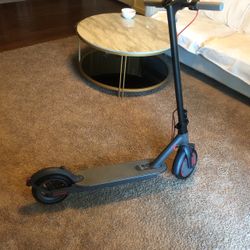 Electric Scooter