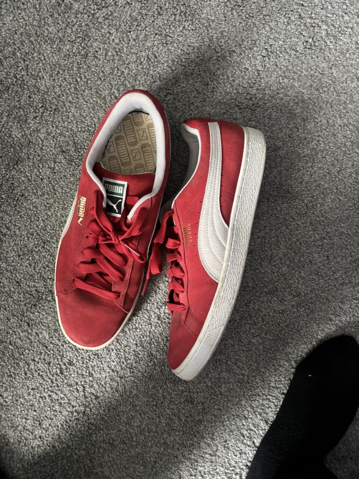 Puma