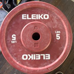 Eleiko weight plates 5LBS technique plates x4