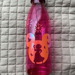 Encanto Water Bottle 