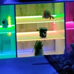New Tv 📺 Stand  Acrylic shelves. With led lights