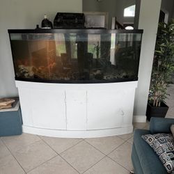 Fish Tank And Stand With Turtles And Fish, Filters