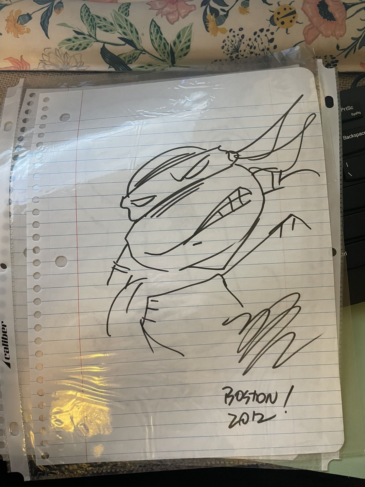 Michael Dooney Ninja Turtle Sketch From Boston Comic Con 2012