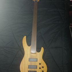 Brice 5-string fretless bass guitar