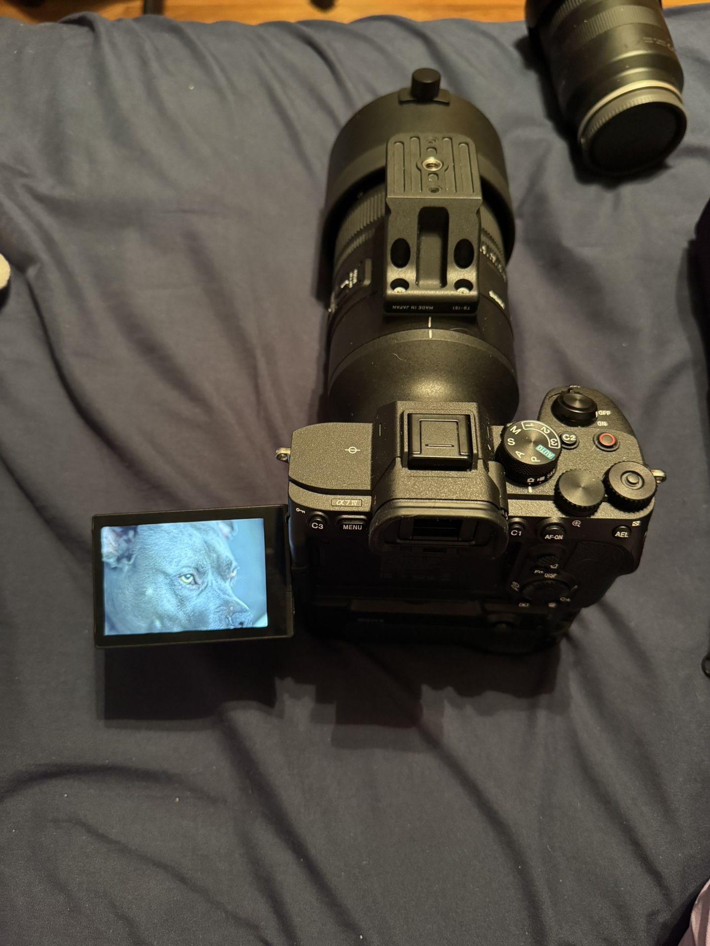 Sony a7IV + Sigma 70-200 f2.8 + Tamron 28-75 f2.8 III and more!