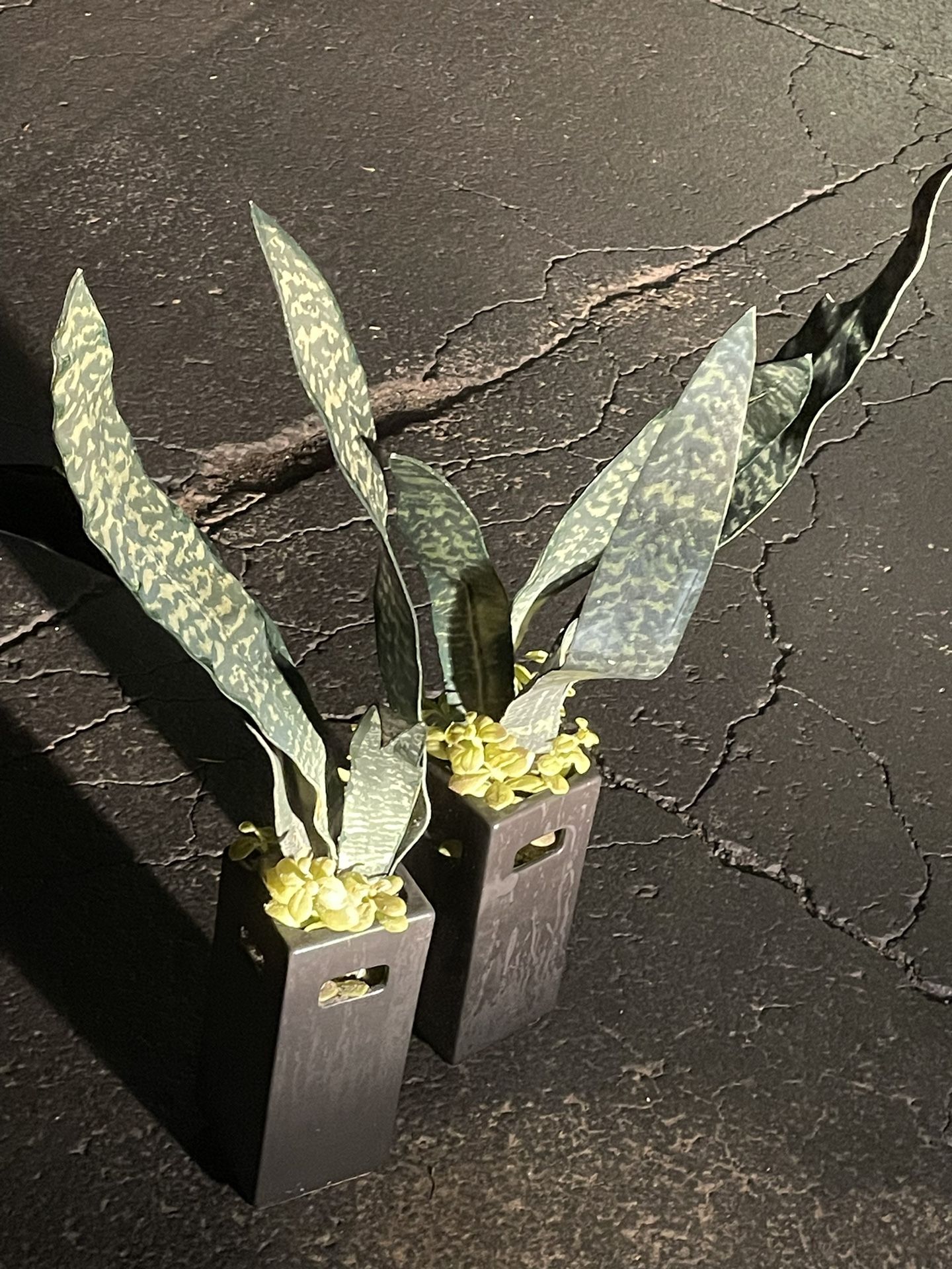 2 Fake Plants In Ceramic Pots Decor