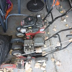 Tchaikovsky Grass Edger Excellent Shape