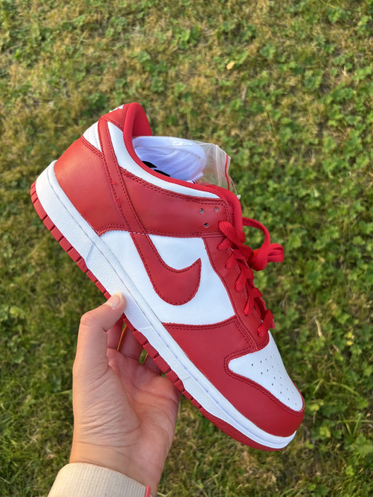 Nike Dunks Low St. Johns