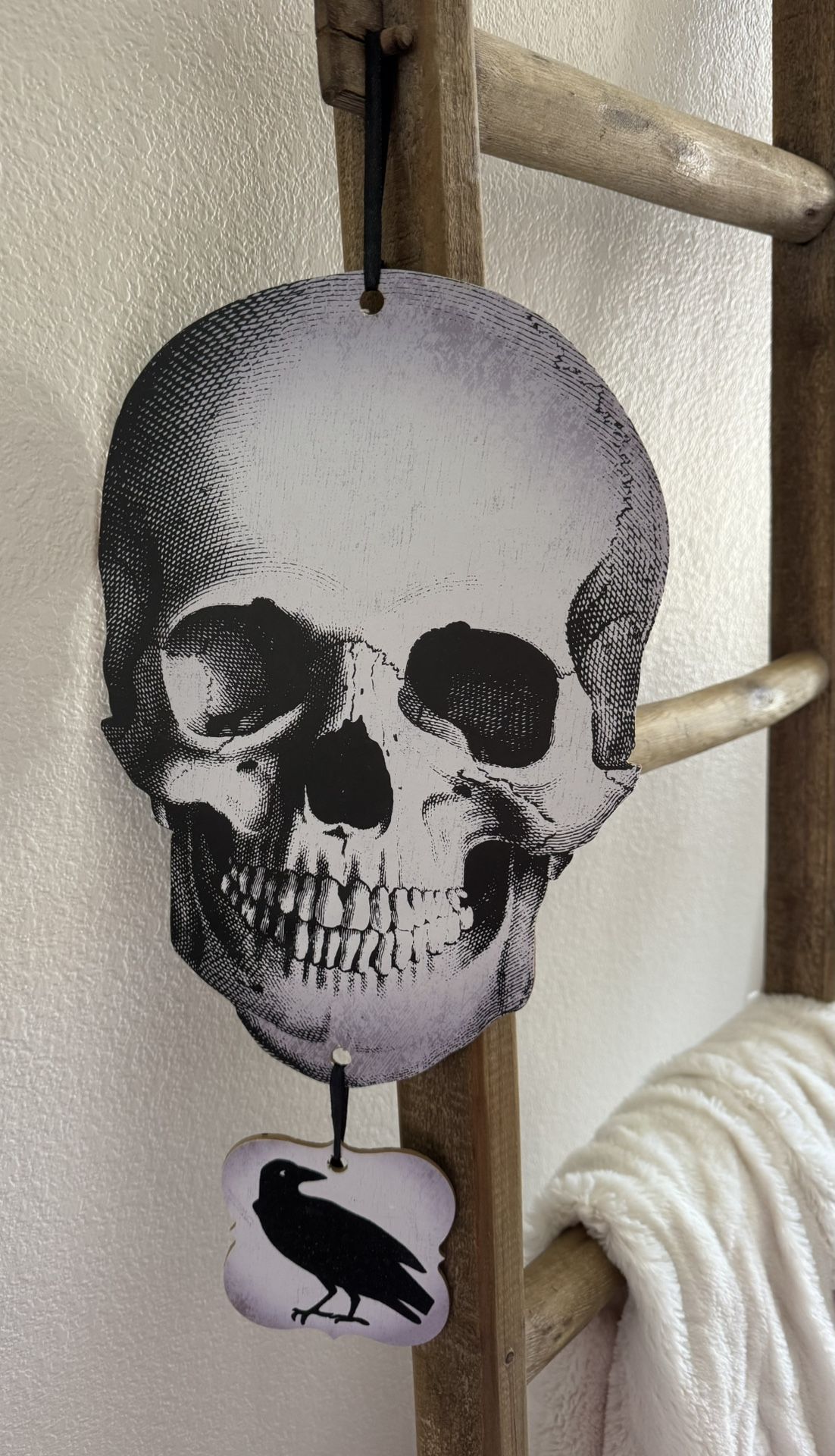 Halloween Decor π·οΈ