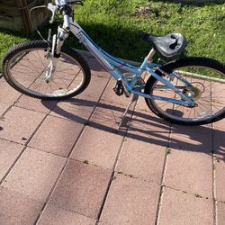 20” Mt220 Trek Bike