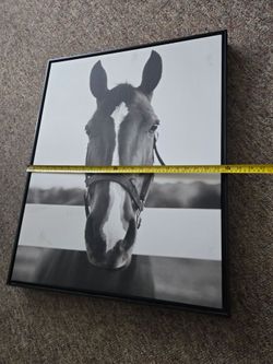 Horse frame 30x24