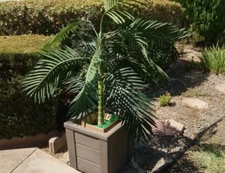 Artificial palm with box